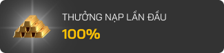 Thưởng nạp lần đầu 100%